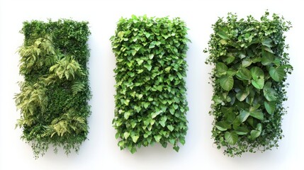 Naklejka premium Three vertical garden walls featuring dense greenery isolated on a plain white background