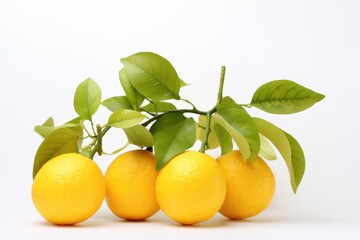 Fresh Yuzu Fruits on a White Background