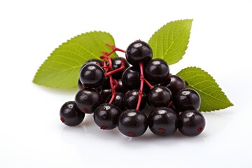 Fresh Salal Berries with Green Leaves on White Background