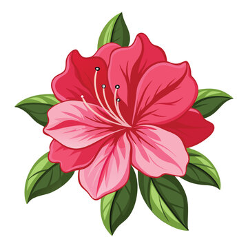 recommend clip art: Azalea flower clipart vector illustration
