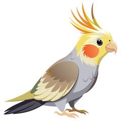Obraz premium Cockatiel clipart vector illustration