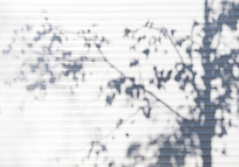 shadow of tree leaves on a white wall. Abstract neutral nature concept blurred background