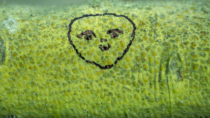 Concepto de actitud positiva, nota  dibujada a mano en rama de arbol.