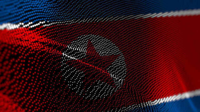 North Korea digital technology flag