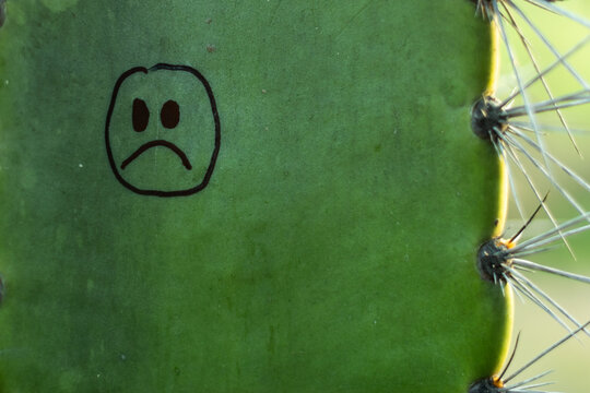 Concepto de actitud positiva, nota  dibujada a mano en rama de arbol.