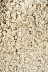 Wool fabric. Marinos wool. Wool fabric.