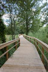 Beautiful boardwalk in Pombal