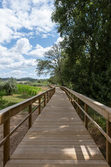 Beautiful boardwalk in Pombal