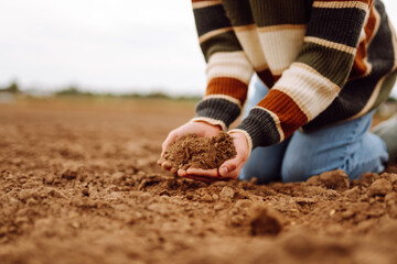 Female Hand of farmer collect soil and checking soil health before growth a seed of vegetable or plant seedling.  Soil, earth.  Agriculture, gardening or ecology concept.