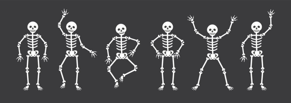 Set of skeletons. Halloween clipart.