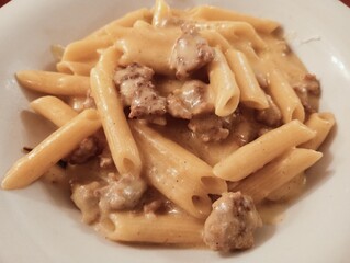 short pasta with sausage and cheese sauce. Italian cuisine