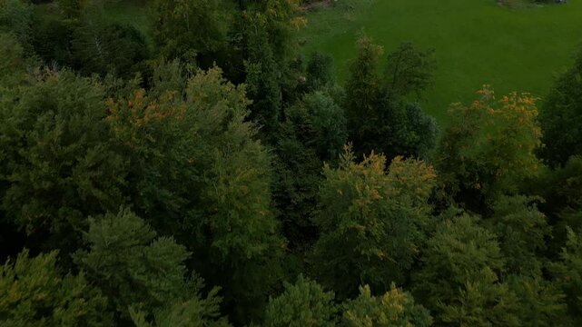 Reveal drone shot of beautiful Oron Castle in Vaud Switzerland