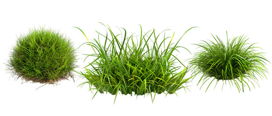 clipart grass png transparent background
