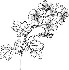 Malva Plant with Flowers and Leaves Outline Illustration.  © cuttlefish84