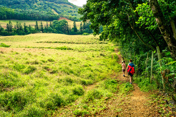 Beautiful view of a family hiking along a trail next to the edge of the forest in the Vallée de...