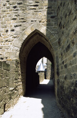 Naklejka premium Carcassonne, France: historic walls of the medieval city