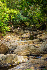View of young children exploring the riverbed of a small stream that flows through the forest and wildlife reserve at Vallée de Ferney, Mauritius