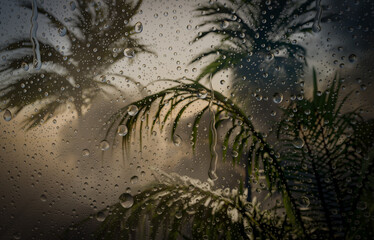 Drops on glass after rain. Autumn weather outside .