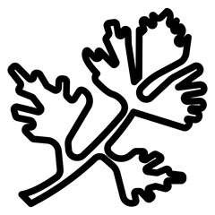 Cilantro Vector Design Icon Style