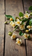 Orange or jasmine blossoms with white petals on rustic wooden planks