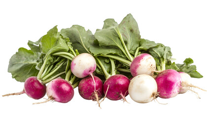 a group of radishes with leaves