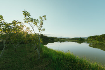 Singha Park in Chiang Rai, Thailand