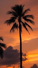 Obraz premium Palm tree silhouette against orange sunset sky background for invitation or card screensaver