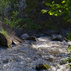   Karelia, Russia, July 10, 2024. Rapids on the river.                             