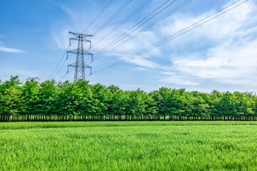 High voltage electricity tower and woods and meadows