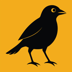 Solid color Myna Bird animal vector design