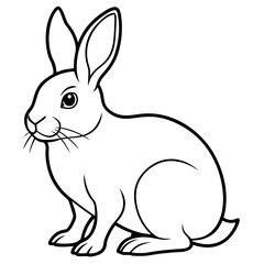 white rabbit isolated on white background