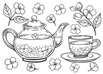 Hand drawn teapot, cup, jasmine. Vector illustration in outline style.