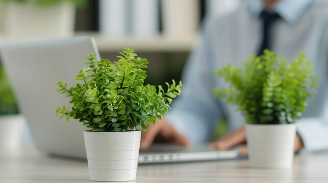 Sustainable Business Initiative, a corporate team actively integrating eco-friendly technologies and practices to enhance environmental sustainability and promote corporate responsibility.