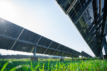 Modern solar panels in a solar farm converting sunlight into clean electricity. Durable...