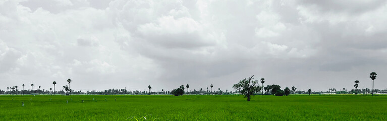 Nature landscape background, nature, green, hike, environment