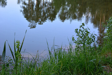 a body of water that is reflecting the sky