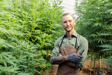 Marijuana cannabis plant farmer inspecting plants health for medical science use, male caucasian standing confident arms crossed indoor grown hemp weed tree, healthcare medicine treatment illnesses.