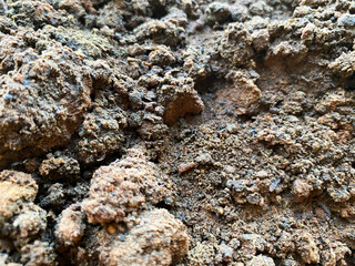 The uneven mud texture displays a rich, earthy surface with irregular ridges, cracks, and dips.