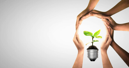Bulbs with seedling on soil. Earth day and earth day as group of diverse people joining to form hands connected together protecting the environment and promoting conservation and climate change issues