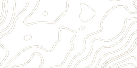 Seamless pattern with lines White wave paper curved reliefs abstract background, Abstract topographic contours map background. Topographic map background geographic line map with elevation assignments