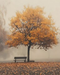 Tranquil Autumnal Park Scene with Lone Bench Under Golden Tree