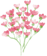 Fototapeta premium flower