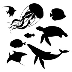 underwater world fishes and turtle silhouettes.