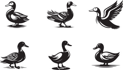 Vector Duck Icon set - Clean Flat Design Illustration.