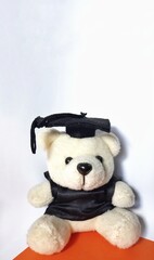 teddy bear with graduation cap and gown
