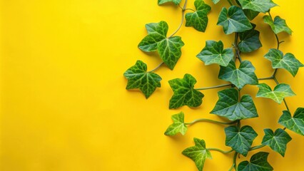 Obraz premium Ivy gourd and green leaves on a yellow background, ivy gourd, coccinia, green leaves, yellow background, tropical, healthy