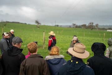 regenerative organic farmer, taking soil samples and looking at plant growth in a farm. practicing sustainable agriculture 