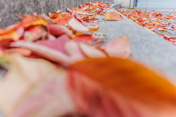 Herbst Laub auf Treppe