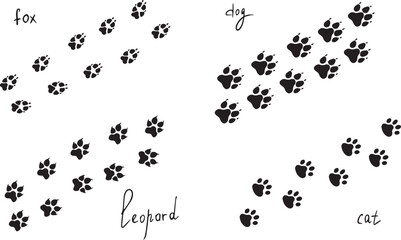 Cat,dog,leopard,fox paw prints. Animal footprints drawing isolated on background, backgrounds, vector icons Illustration. Vector illustration