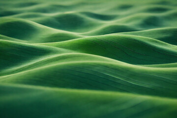 Organic Green Abstract Lines for Modern Wallpaper Background Illustration.
